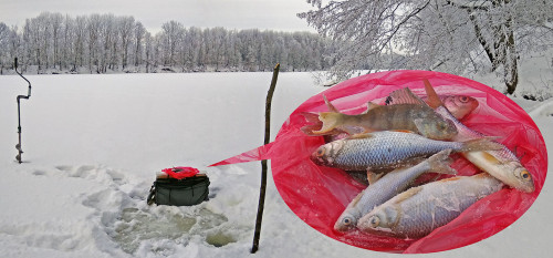Рыб_29.12.2021-5.jpg