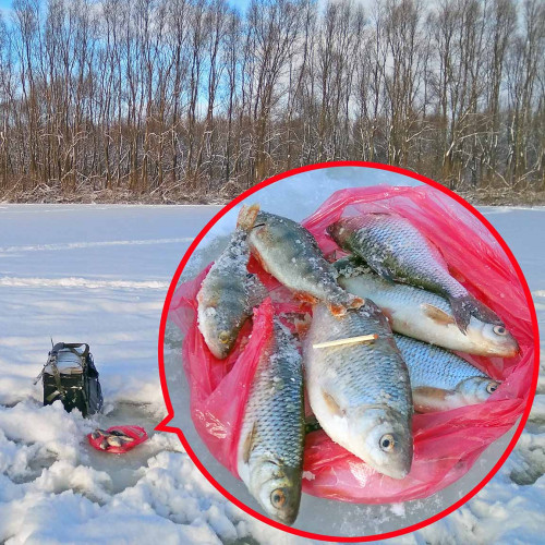 Рыб_02.01.2022-4.jpg