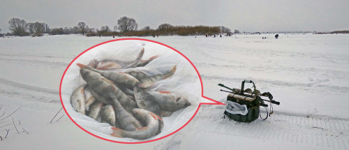 Рыб_06.01.2022-4.jpg