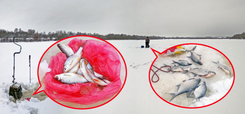 Рыб_14.01.2022-5.jpg