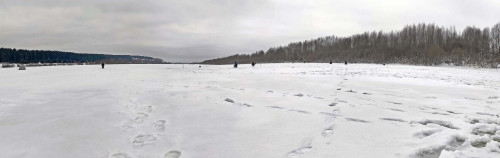 Рыб_19.01.2022-3.jpg