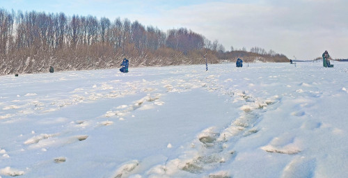 Рыб_19.01.2022-4.jpg