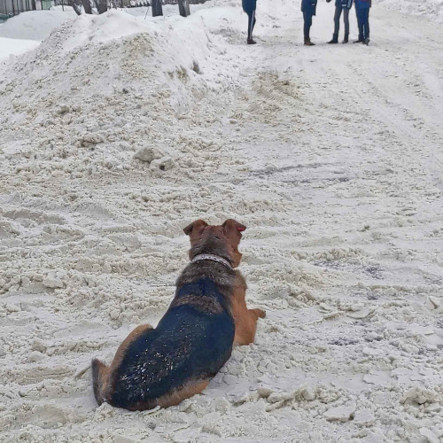 Рыб_19.01.2022-6.jpg