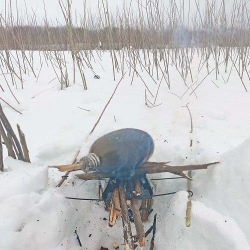 Рыб_23.01.2022-2.jpg