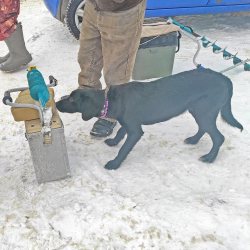 Рыб_23.01.2022-4.jpg