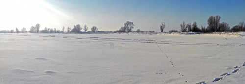 Рыб_25.01.2022-3.jpg