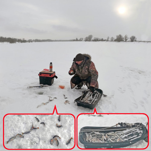 Рыб_26.01.2022-3.jpg