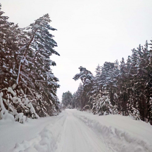 Рыб_28.01.2022-2.jpg