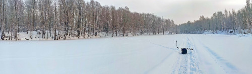 Рыб_28.01.2022-3.jpg