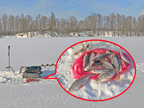 Рыб_28.01.2022-6.jpg