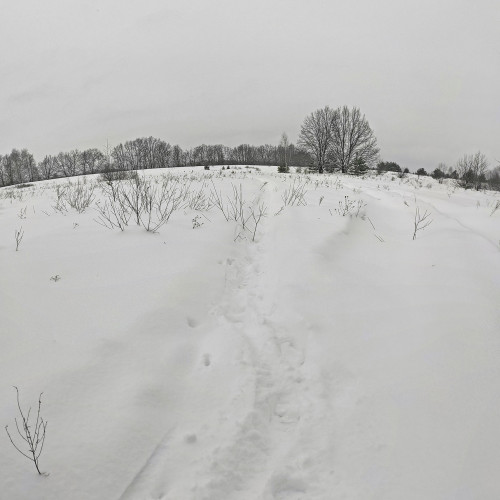 Рыб_31.01.2022-2.jpg