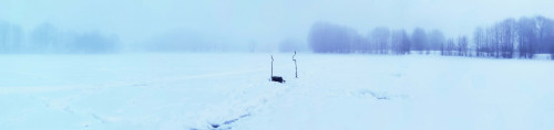 Рыб_03.02.2022-2.jpg