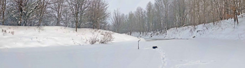 Рыб_03.02.2022-4.jpg