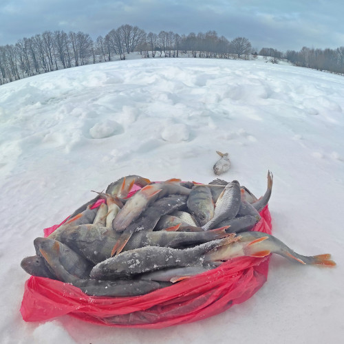 Рыб_05.02.2022-4.jpg