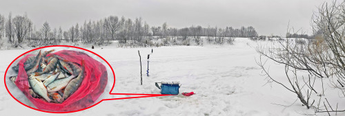 Рыб_07.02.2022-5.jpg