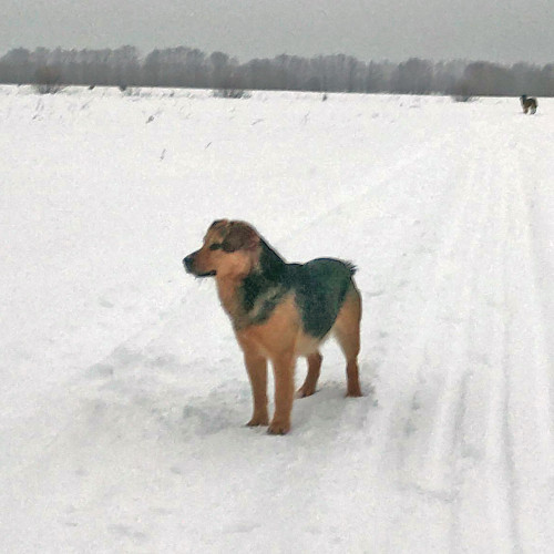 Рыб_07.02.2022-6.jpg