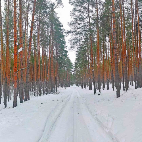 Рыб_08.02.2022-2.jpg