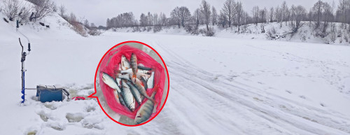 Рыб_08.02.2022-4.jpg