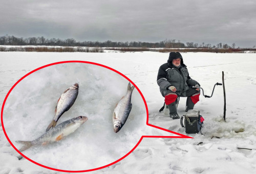 Рыб_11.02.2022-5.jpg