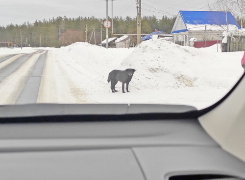 Рыб_11.02.2022-6.jpg