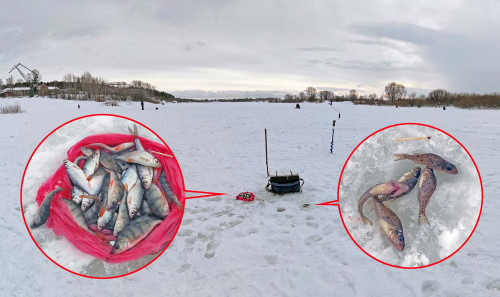 Рыб_12.02.2022-5.jpg