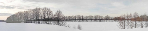Рыб_14.02.2022-2.jpg
