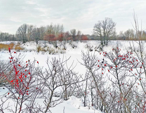 Рыб_14.02.2022-3.jpg