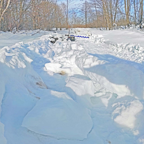 Рыб_15.02.2022-1.jpg