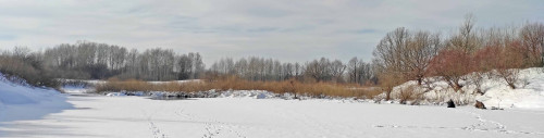 Рыб_15.02.2022-2.jpg
