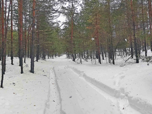 Рыб_17.02.2022-1.jpg