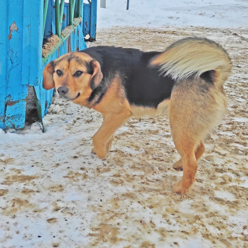 Рыб_17.02.2022-4.jpg