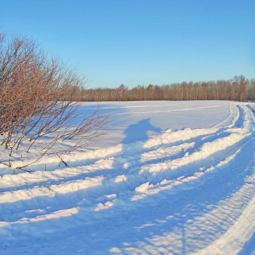 Рыб_19.02.2022-3.jpg