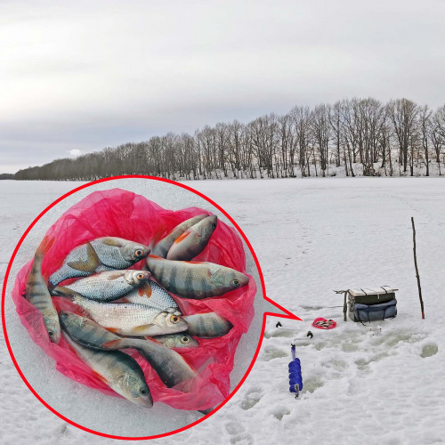 Рыб_19.02.2022-6.jpg