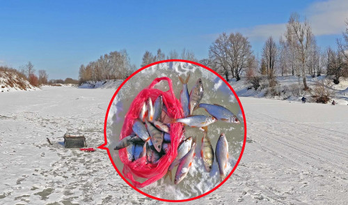 Рыб_21.02.2022-2.jpg