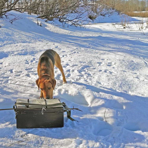 Рыб_21.02.2022-3.jpg
