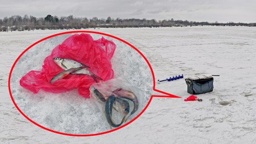 Рыб_24.02.2022-5.jpg