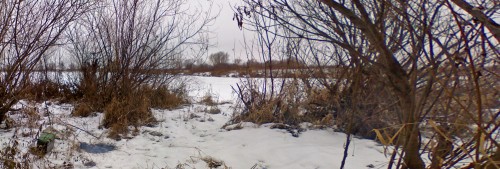 Shmrsk_26112011-2.jpg