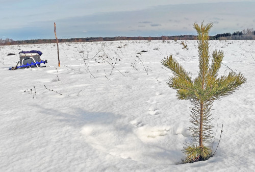 Рыб_27.02.2022-1.jpg