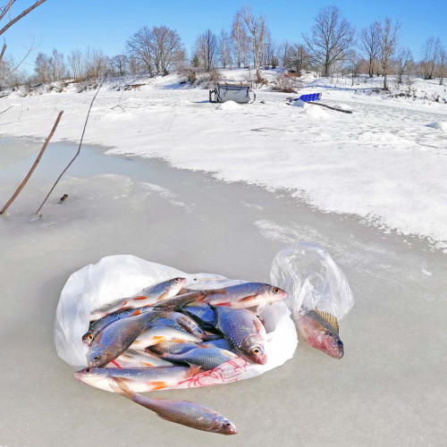 Рыб_10.03.2022-4.jpg