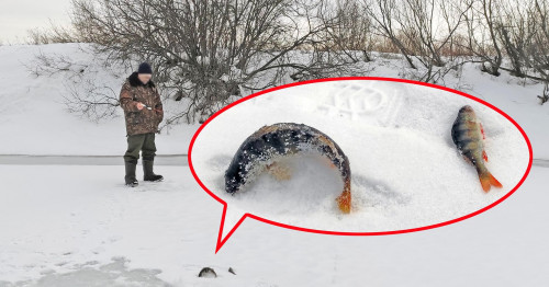 Рыб_12.03.2022-4.jpg