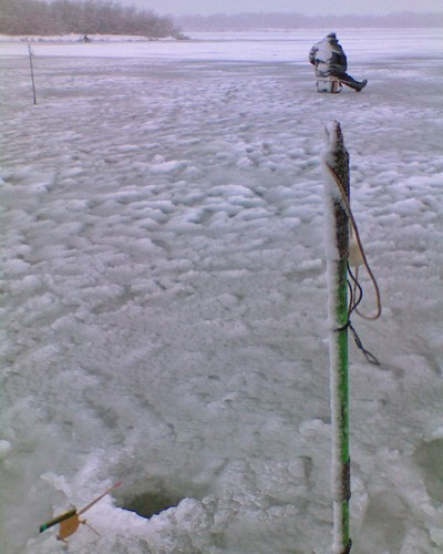 Shmrsk_28112011-2a.jpg