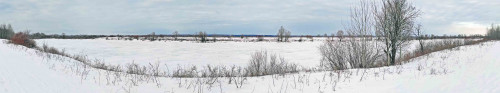 Рыб_15.03.2022-5.jpg