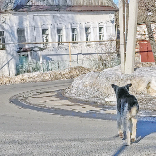 Рыб_16.03.2022-6.jpg