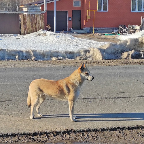 Рыб_18.03.2022-7.jpg
