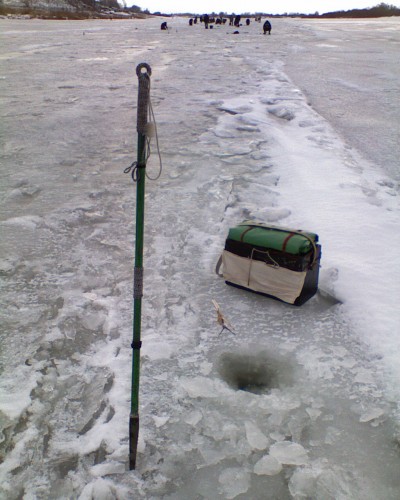 Shmrsk_01122011-1.jpg