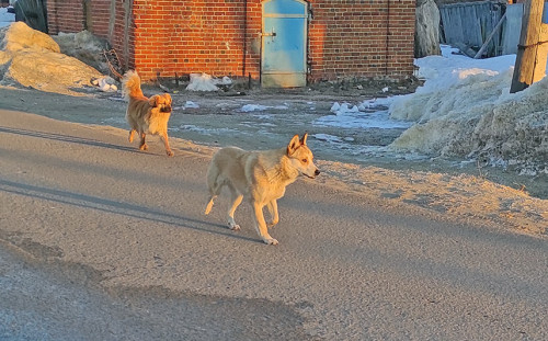 Рыб_19.03.2022-10.jpg