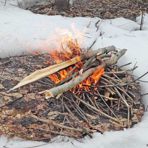 Рыб_26.03.2022-3.jpg