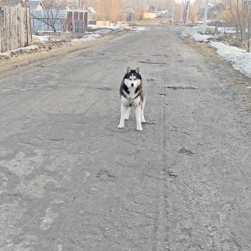 Рыб_26.03.2022-6.jpg