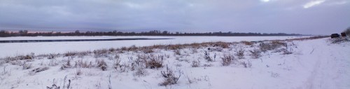 Shmrsk_02122011-3.jpg