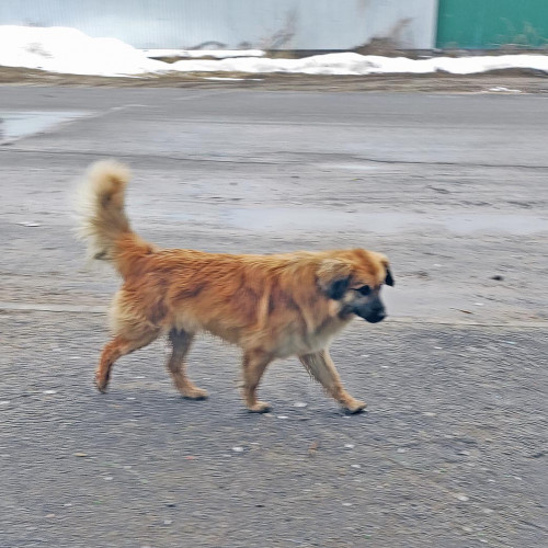Рыб_02.04.2022-4.jpg